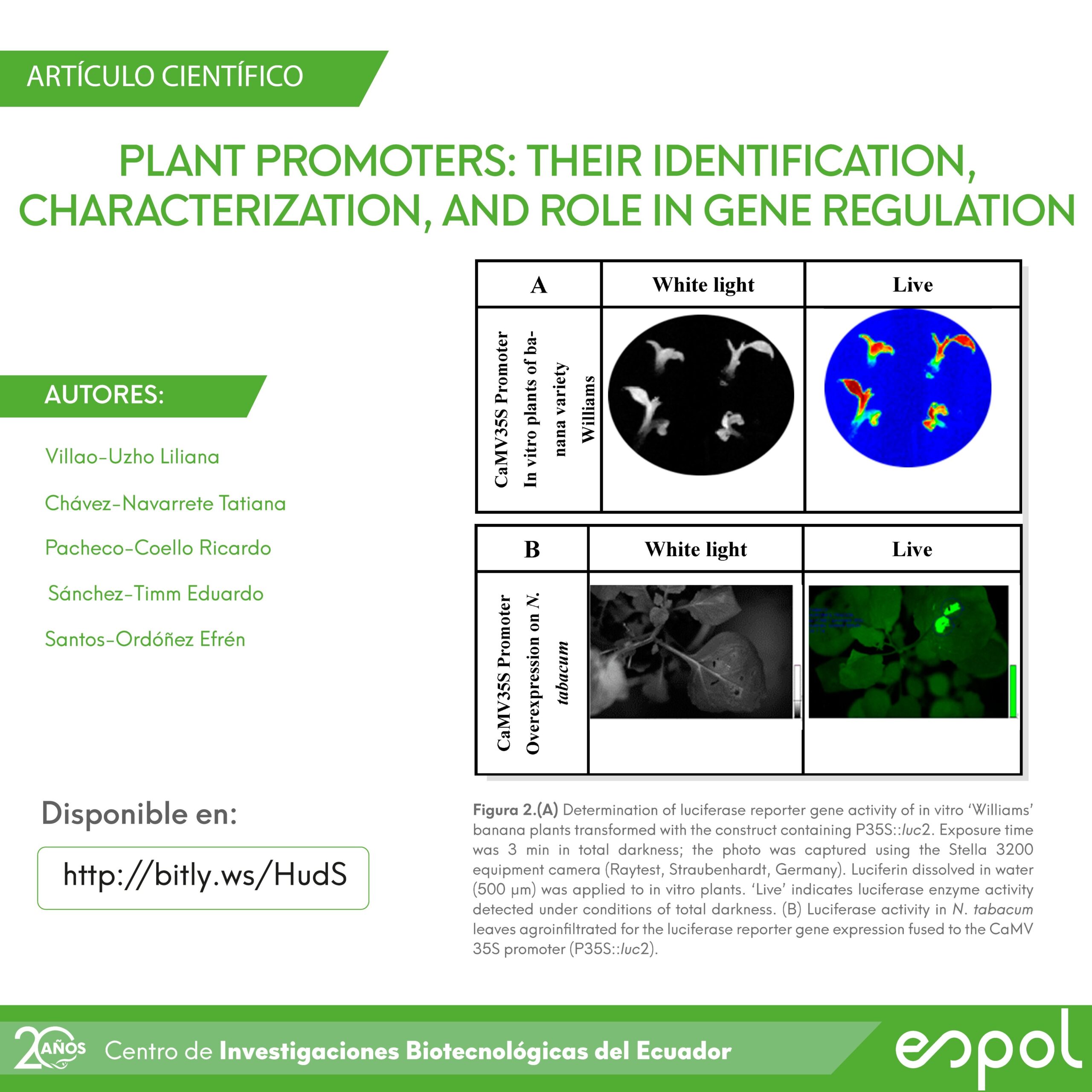 “plant Promoters Their Identification Characterization And Role In Gene Regulation